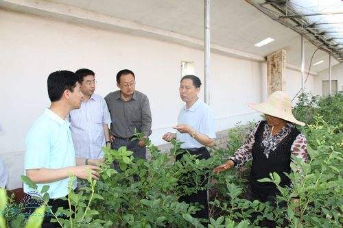 植物冠层分析仪客户